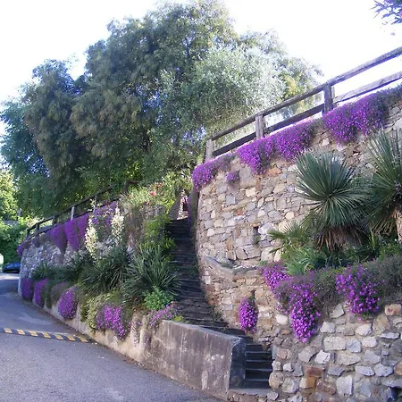 Laguna