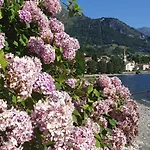 Laguna *