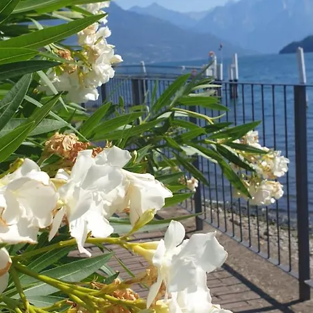 Laguna Pianello Del Lario