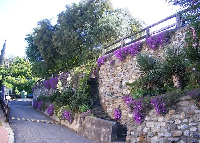 Laguna