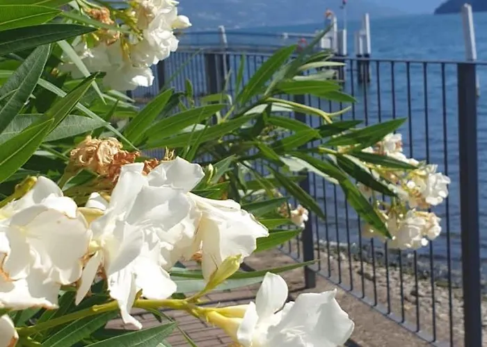 Laguna Pianello Del Lario