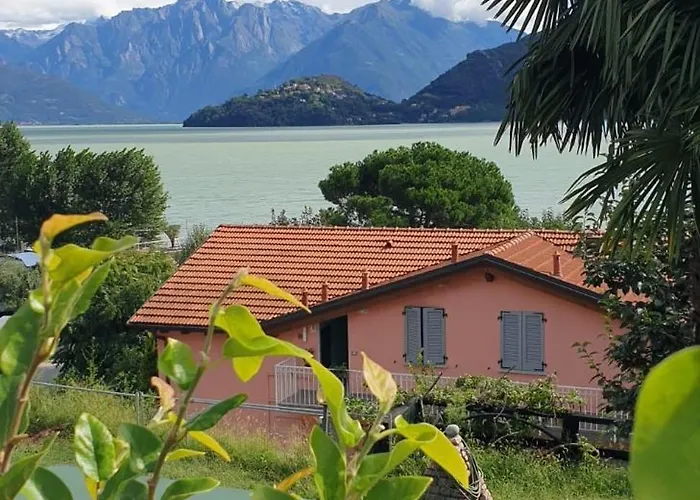 Laguna
