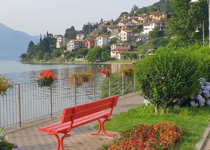 Laguna