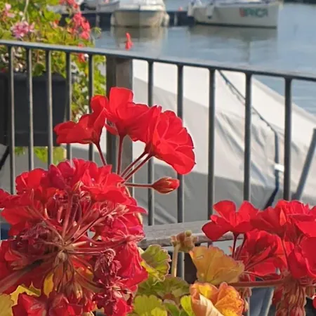 Διαμέρισμα Laguna